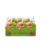 Finca La Noguera